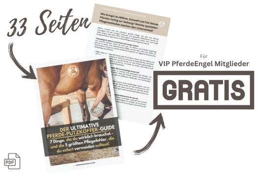 Der ultimative Putzkoffer-Guide für PferdeEngel (PDF)