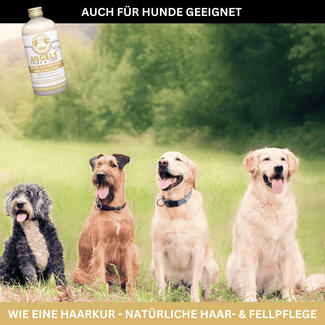 ANGELS SHINE & CARE natural - Natürliches Mähnenspray - Schweifspray - SCHÜTTELN, SPRÜHEN, KURZ EINWIRKEN ... FREUDE! - HORSEANDANGELS