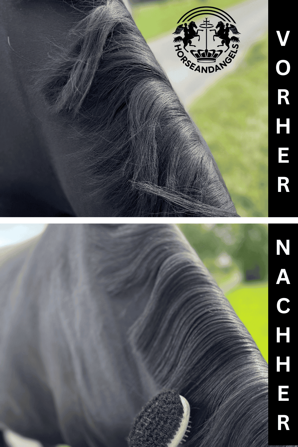 ANGELS SHINE & CARE natural - Natürliches Mähnenspray - Schweifspray - SCHÜTTELN, SPRÜHEN, KURZ EINWIRKEN ... FREUDE! - HORSEANDANGELS