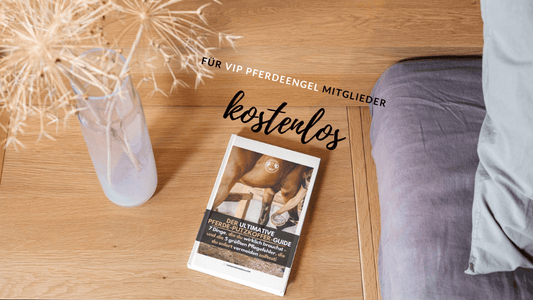 Der ultimative Putzkoffer - Guide für PferdeEngel (PDF) - HORSEANDANGELS