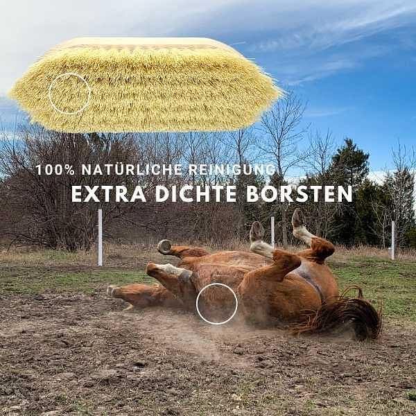 Fellbürste Pferde - Staubbürste Pferde für schnelle Sauberkeit und Glanz vom Fell - HORSEANDANGELS