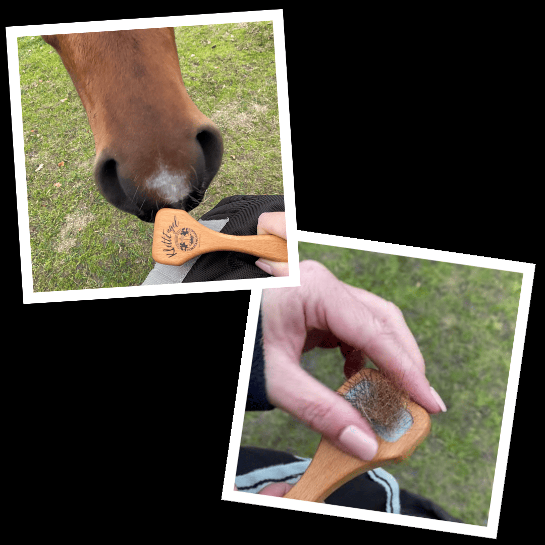 KlettEngel - Schnelle Hilfe für verschmutzte Klettverschlüsse - HORSEANDANGELS