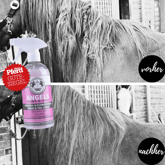 Mähnenspray für Pferde – Glänzendes Fell, langanhaltende Kämmbarkeit & Mandelblütenduft - HORSEANDANGELS