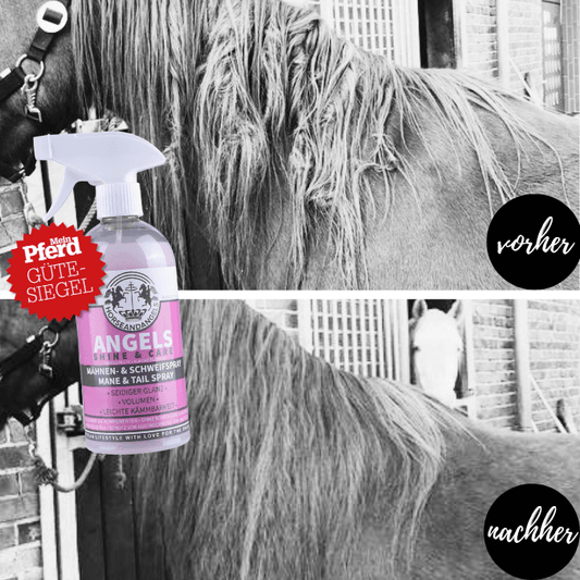 Mähnenspray für Pferde – Glänzendes Fell, langanhaltende Kämmbarkeit & Mandelblütenduft - HORSEANDANGELS